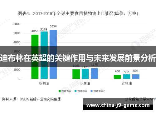 迪布林在英超的关键作用与未来发展前景分析 迪布林在英超的关键作用与未来发展前景分析