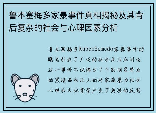 鲁本塞梅多家暴事件真相揭秘及其背后复杂的社会与心理因素分析